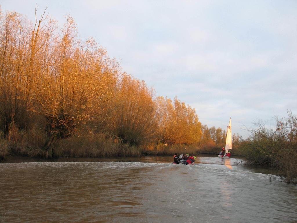 Bed And Breakfast De Biesbosch - In 'T Riet Drimmelen Extérieur photo